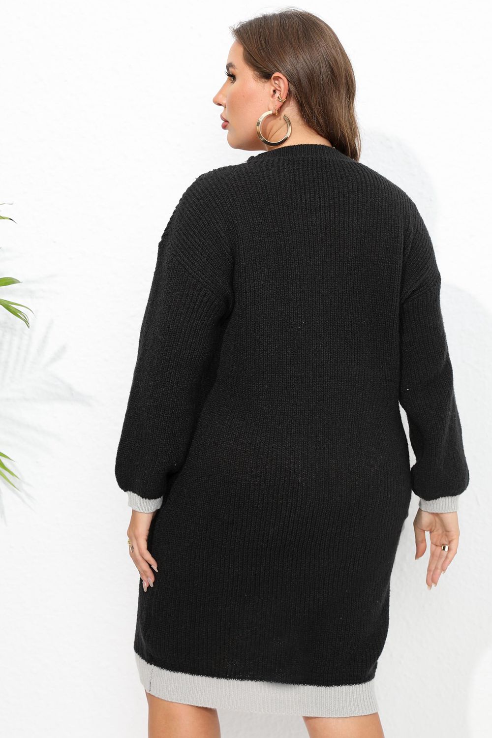 Plus Size Long Sleeve Sweater Dress - LoveNest Treasures