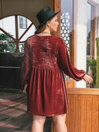 Plus Size Lace Detail V-Neck Long Sleeve Mini Dress - LoveNest Treasures