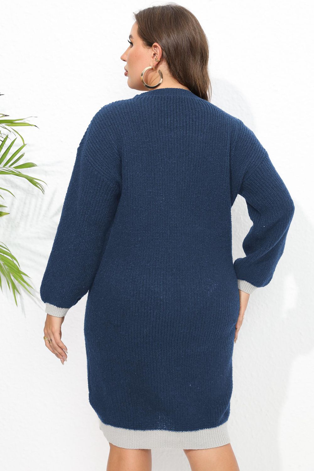 Plus Size Long Sleeve Sweater Dress - LoveNest Treasures